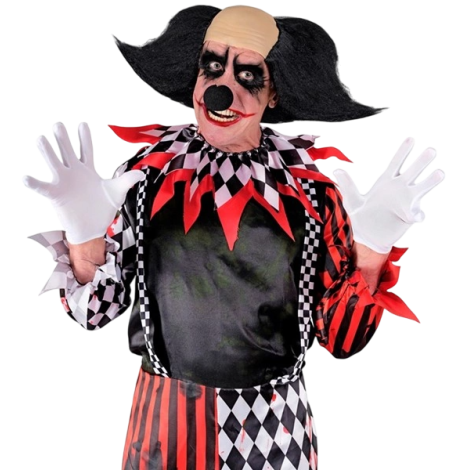 Peruca Clown Sinistru Widmann | Look Infricosator - imagine 2