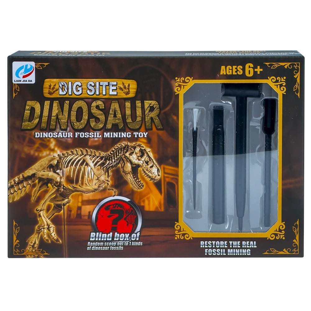 Set Excavare Fosile Amacs | Joc Educativ +6 Ani