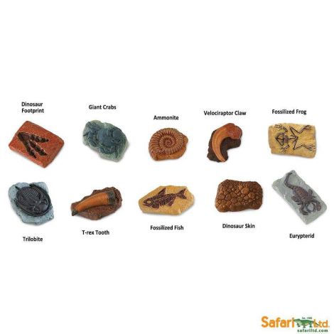 Tub Fosile Antice Safari Ltd - Set 10 Figurine - imagine 3