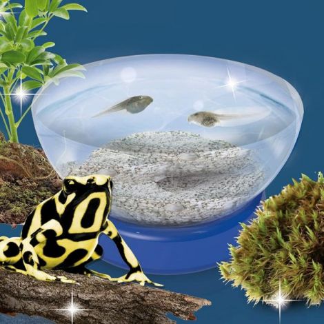 Lisciani Micul Geniu: Experimente Habitate & Eco - imagine 3