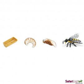 Ciclul Vieții la Albina Safari Ltd - Set Educativ 4 Figurine - imagine 2
