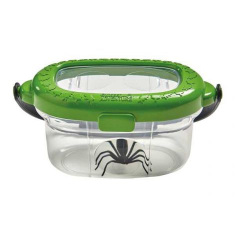 Observator Insecte Brainstorm | Mic Naturalist - imagine 7