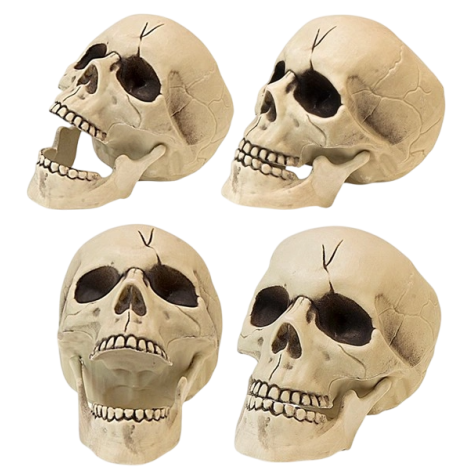 Cap Schelet Widmann 21cm - Decor Halloween - imagine 3