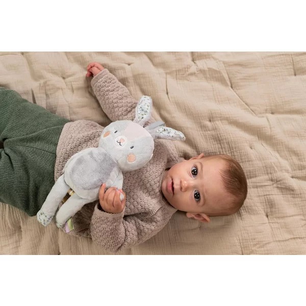 Jucarie Muzicala Taf Toys Iepurasul Rylee - imagine 4