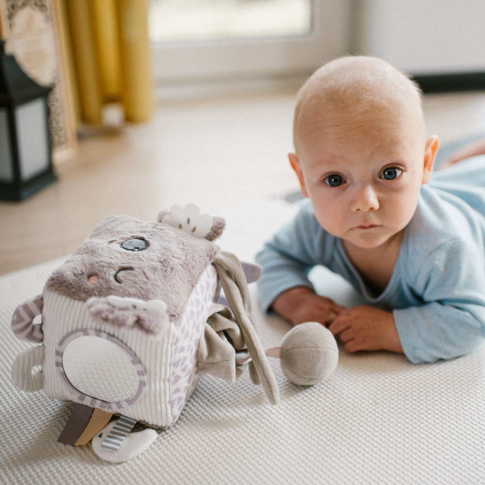 Cub Activitati Babyono Koala Coco | Dezvoltare - imagine 12