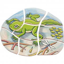 Puzzle Stratificat Broasca Beleduc | Anatomie - imagine 3