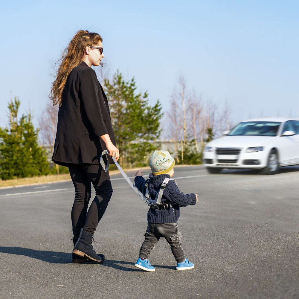Ham Siguranta Reer Travelkid Go cu Frana Ghidare - imagine 4