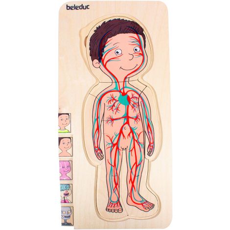 Puzzle Educativ Stratificat Corpul Uman Beleduc - imagine 7