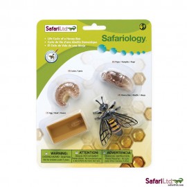 Ciclul Vieții la Albina Safari Ltd - Set Educativ 4 Figurine