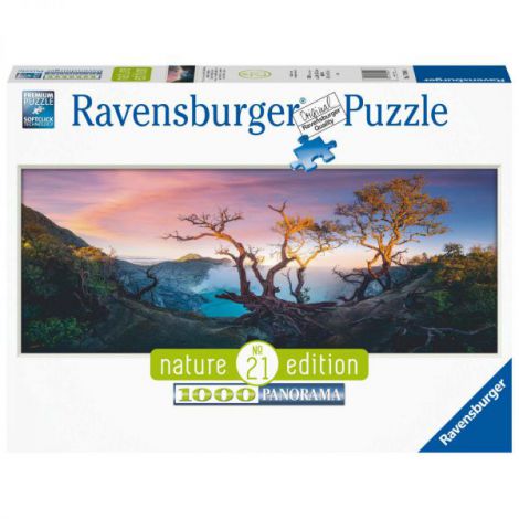 Puzzle Acid Lake Java 1000 piese Ravensburger