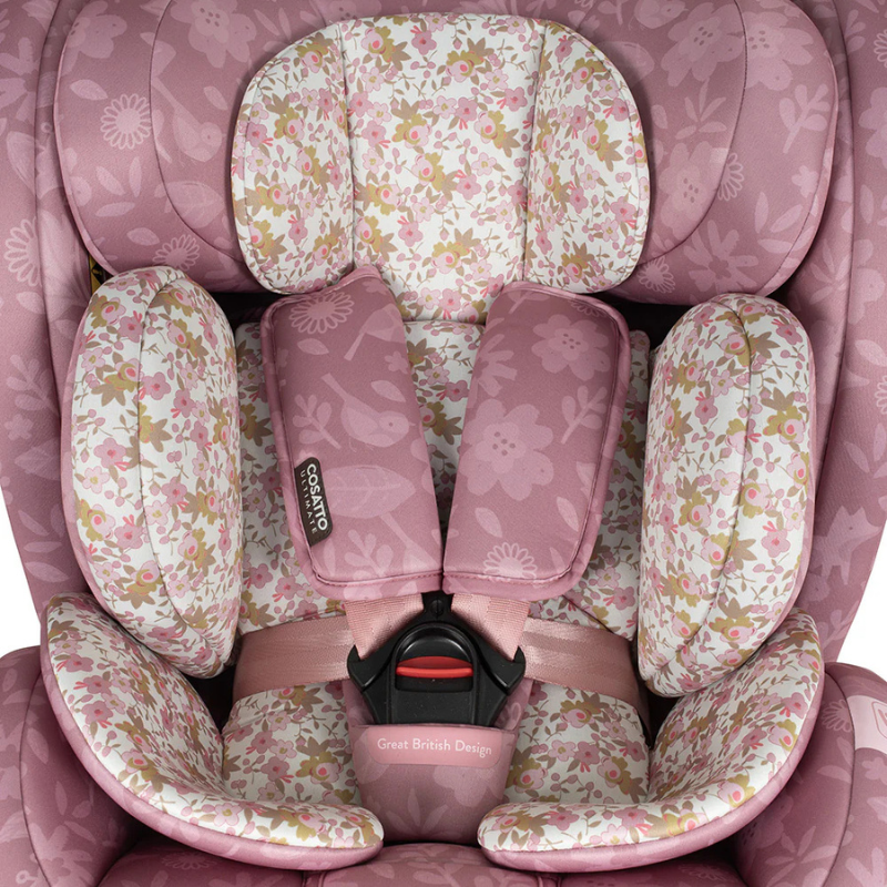 Scaun Auto Cosatto All in All I-Size - imagine 3