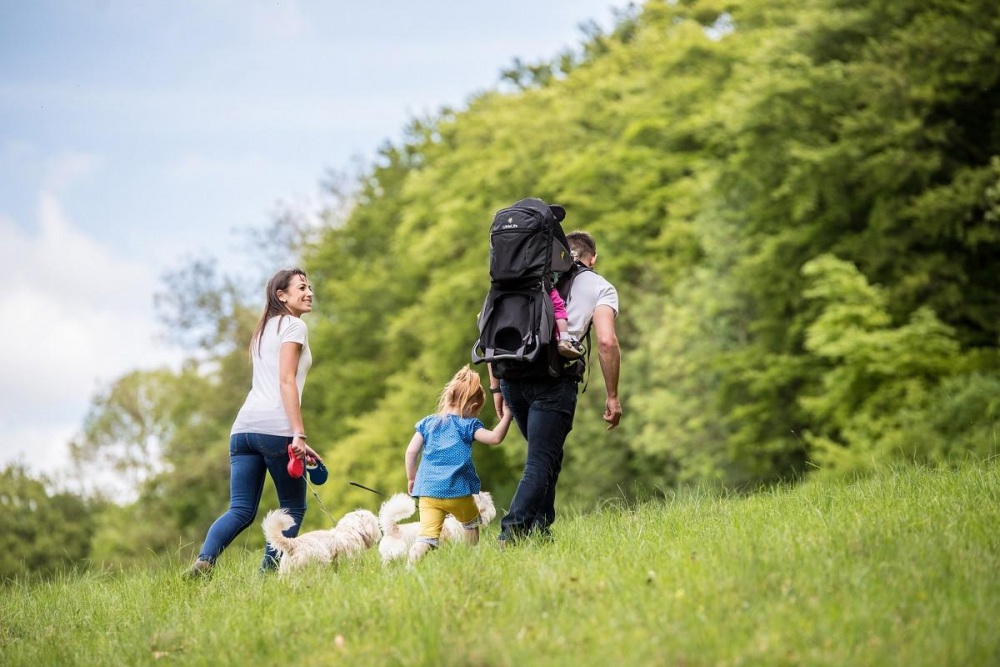 Rucsac Voyager S5 LittleLife - Premium Montan