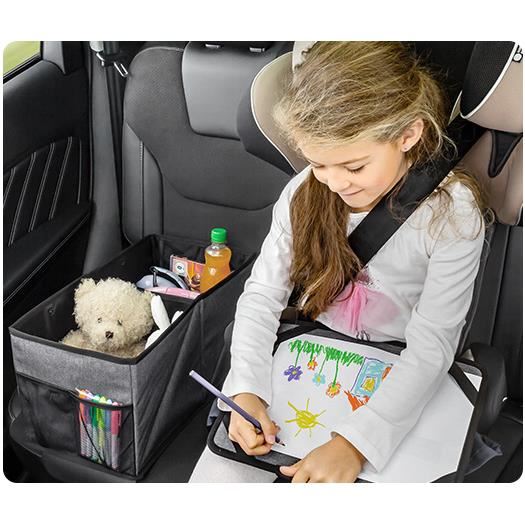 Cutie Organizatoare Auto Pliabilă Reer TravelKid