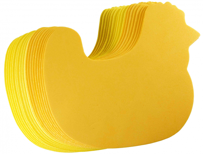 Set 12 Fluturi Hartie Gumata Colorart | Decor Creativ