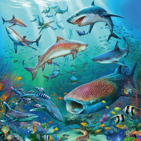 Puzzle Lumea Subacvatica, 3x49 piese, Ravensburger - imagine 3
