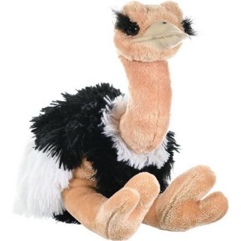Strut Plus Wild Republic 30cm Jucarie Educativa