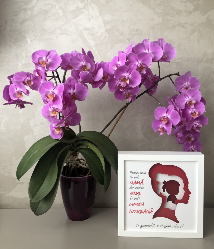 Tablou Luminos Bunici | Decor 3D Noorhandmadeatelier - imagine 2