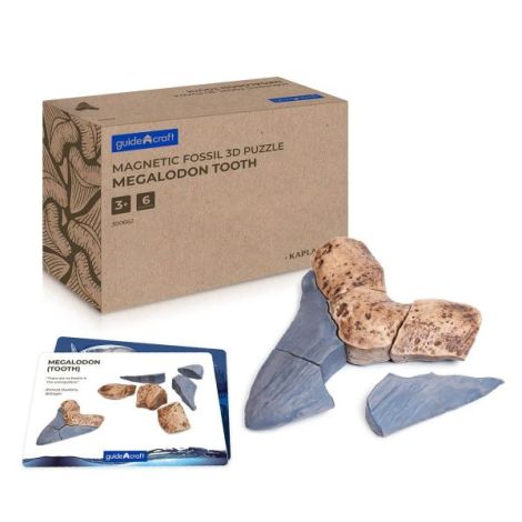 Puzzle Megalodon 3D Magnetic Guidecraft