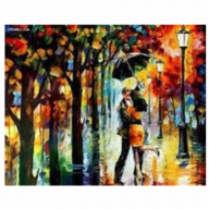 Tablou Diamante Krista 50x40 cm Indragostiti