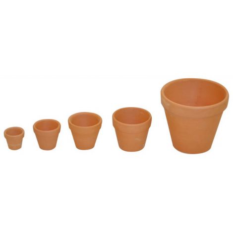 Set 10 Ghivece Lut 4 cm Playbox | DIY Decoratiuni