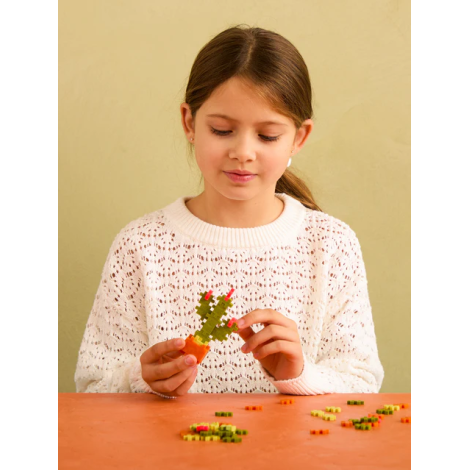 Set Constructie Plus-Plus Cactus DIY 19.9 Lei - imagine 4