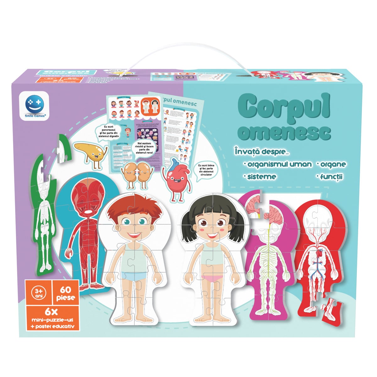 Puzzle Corpul Omenesc, 60 piese, Smile Games