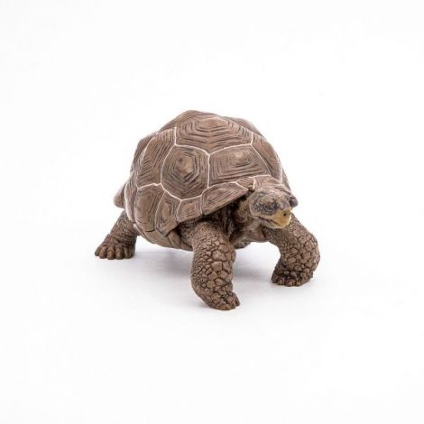 Papo Testoasa Galapagos - Figurina Detaliata - imagine 5