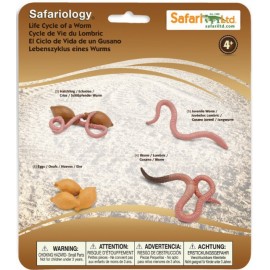 Ciclul Vieții la Râmă Safari Ltd - Set Educativ - imagine 2