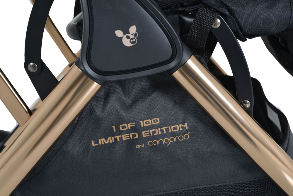 Cangaroo Easy Fold Black, Carucior Sport Usor, pana la 22kg - imagine 4
