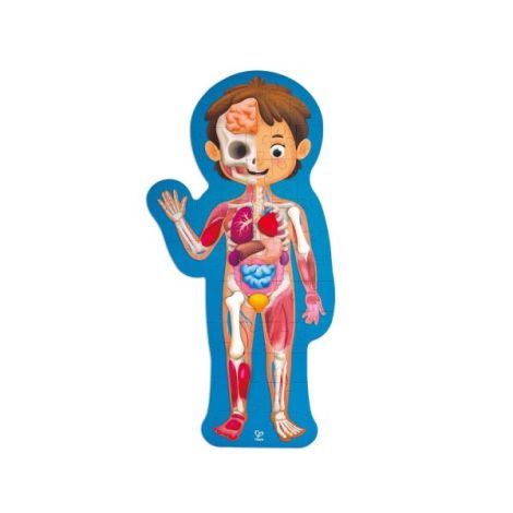 Hape Puzzle Corpul Uman - Jucarie Educativa 61 Piese - imagine 5