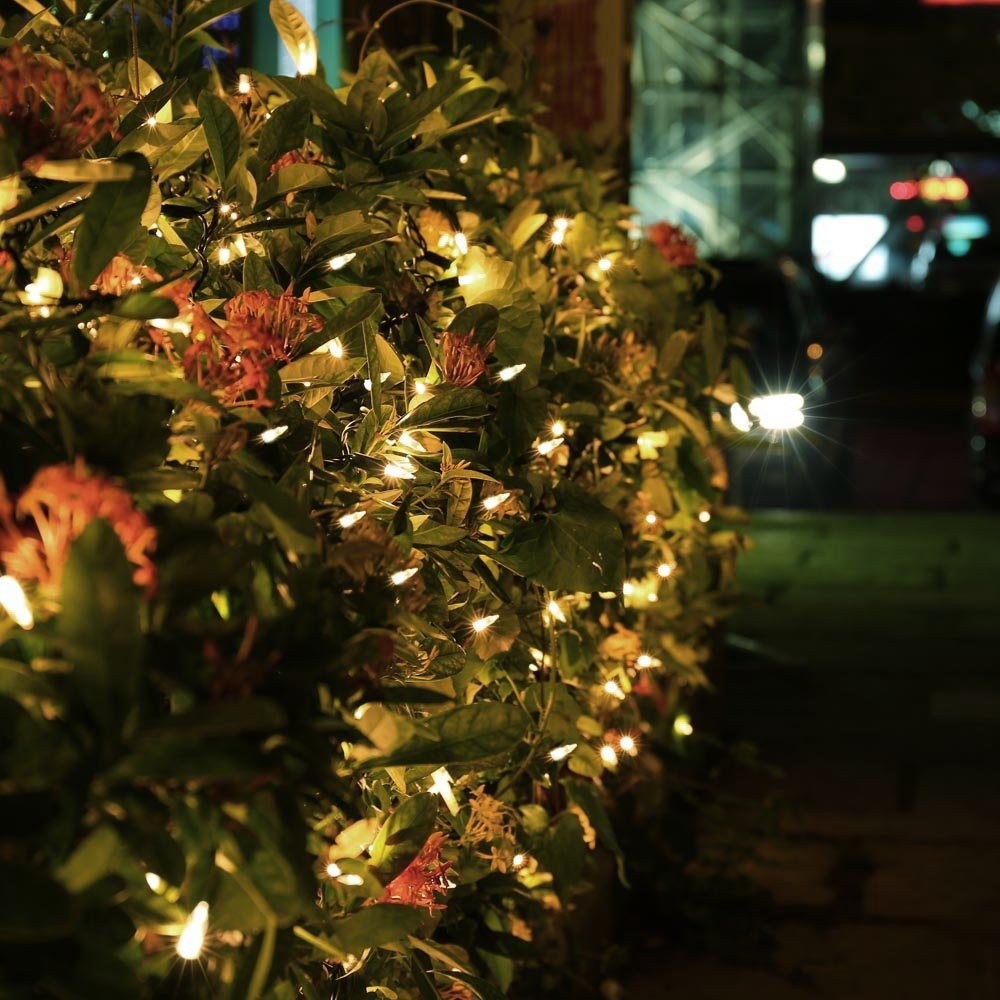 Plasa Lumini Home 6x4m - Decor Instant Exterior - imagine 4