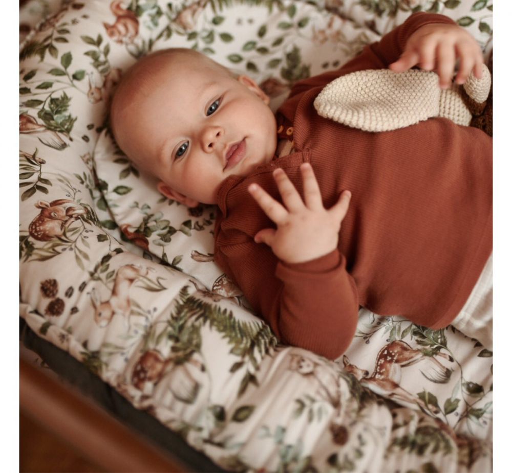 Suport Dormit Babynest BabySteps Catifea