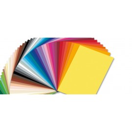 Carton Colorat Roz 10 Foi | Folia Paper 300g/m² - imagine 3