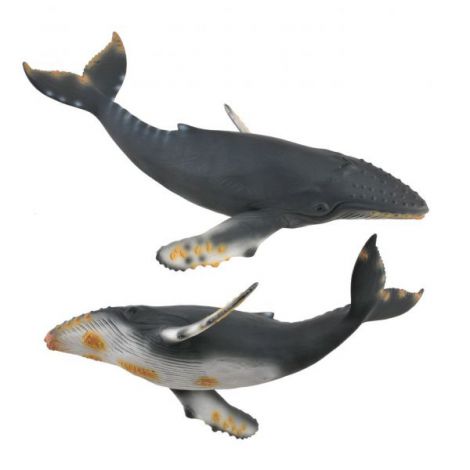 Figurina Balena cu Cocoasa Collecta