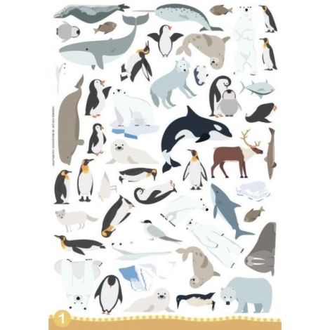 Sassi - Set Creativ Animalute +4 Ani - imagine 12