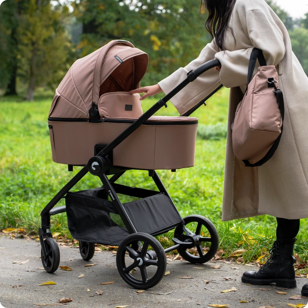 Carucior 2 in 1 Kidnort Alskar Beige 0-22kg