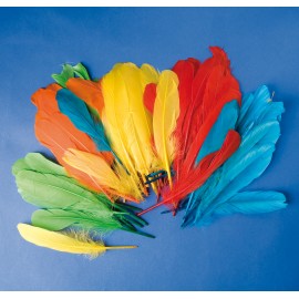 Set 120 Pene Indian 15cm, 5 Culori | Playbox - imagine 2