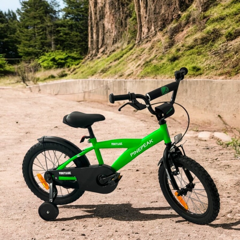 Bicicleta Procart 16 inch Copii cu Roti Ajutatoare - imagine 6