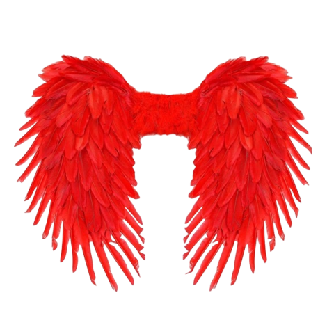 Aripi Rosii Pene Maxi Widmann | Carnaval