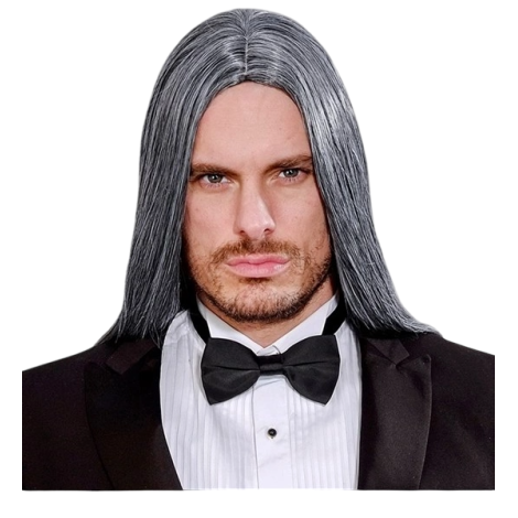 Peruca Victor Gri Adult Widmann | Carnaval