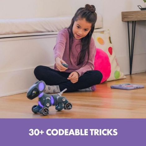 Pyxel Robot Programator Educational Insights - imagine 6