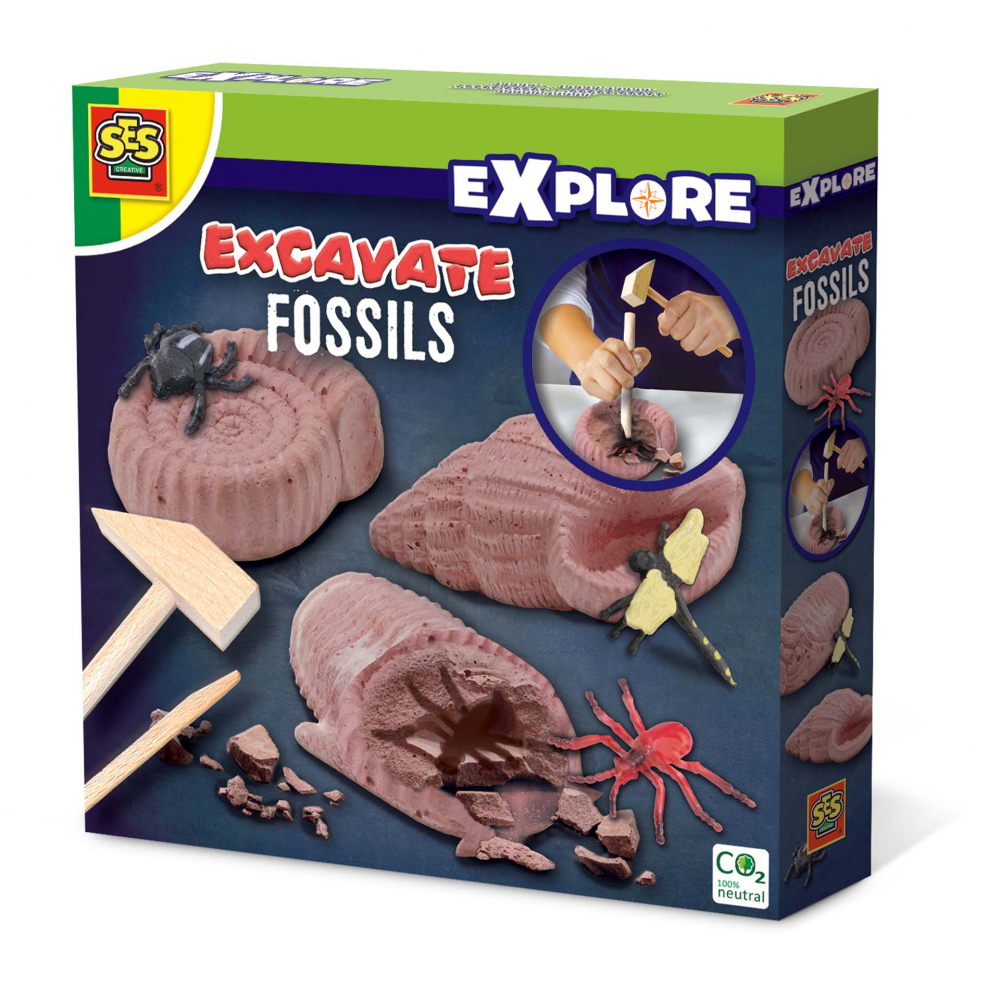 Set Excavare Fosile Insecte Ses Creative