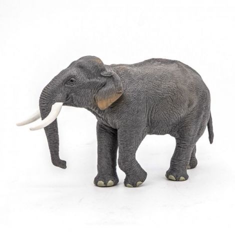 Papo Elefant Asiatic - Figurina Educativă 3+ - imagine 7