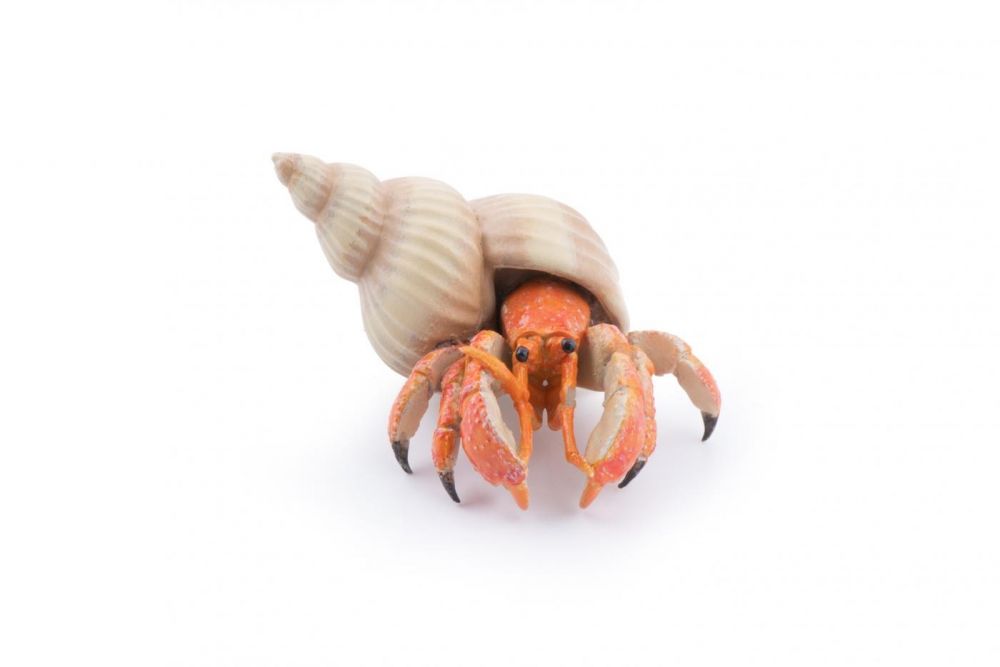 Figurina Crab Pustnic Papo | Joc Educativ