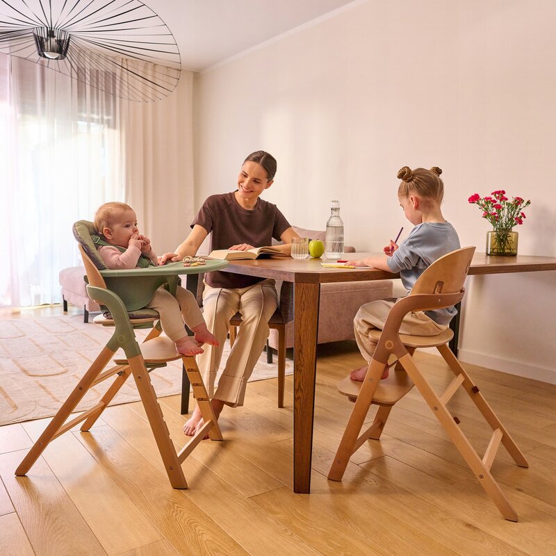 Lionelo Megan - Scaun multifuncțional 6 luni-adult - imagine 4
