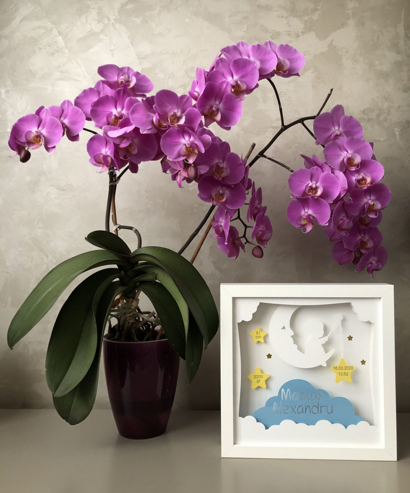 Tablou Luminos Baietel 012 Noorhandmadeatelier - imagine 2