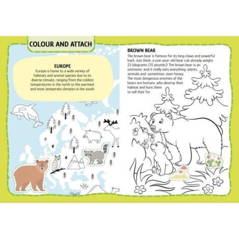 Sassi - Set Creativ Animalute +4 Ani - imagine 3