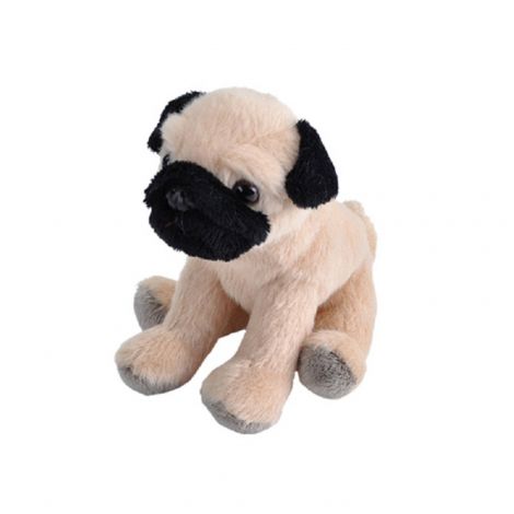 Catel Pug Plus Wild Republic - Jucarie Educativa