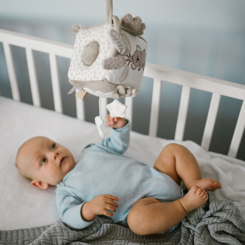 Cub Activitati Babyono Koala Coco | Dezvoltare - imagine 10