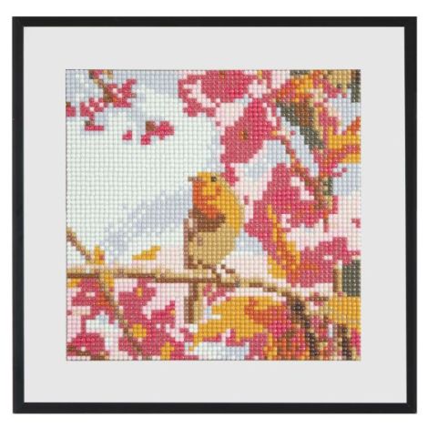 Diamond Painting Pasari - Set Creativ Craft id - imagine 4